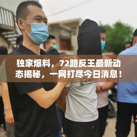 独家爆料，72路反王最新动态揭秘，一网打尽今日消息！
