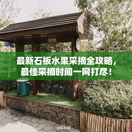 最新石板水果采摘全攻略，最佳采摘时间一网打尽！