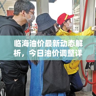临海油价最新动态解析，今日油价调整详解
