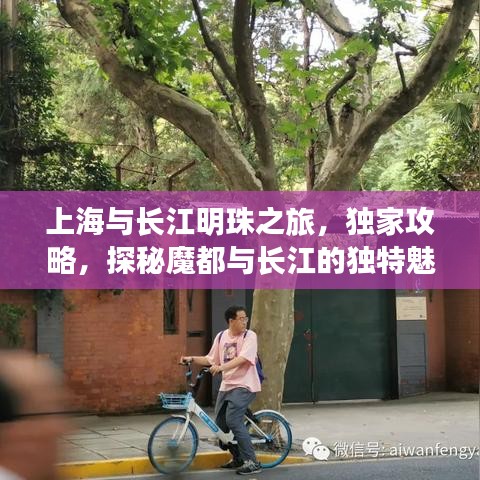 上海与长江明珠之旅，独家攻略，探秘魔都与长江的独特魅力