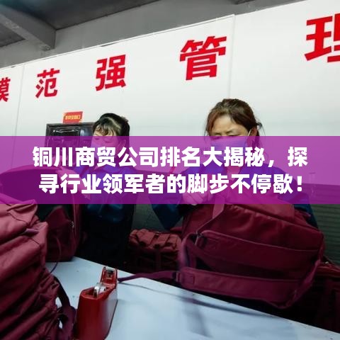 铜川商贸公司排名大揭秘，探寻行业领军者的脚步不停歇！