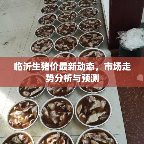 临沂生猪价最新动态，市场走势分析与预测