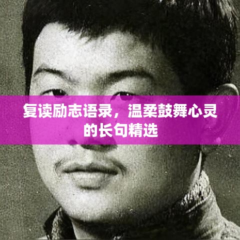 复读励志语录，温柔鼓舞心灵的长句精选
