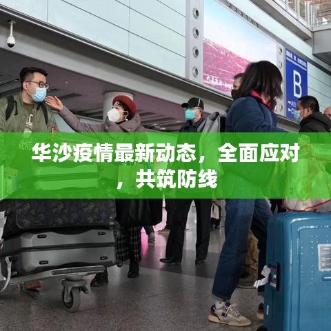 华沙疫情最新动态，全面应对，共筑防线