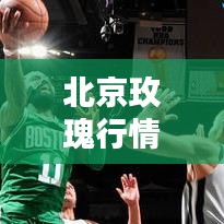 北京玫瑰行情走势图揭秘，最新分析与趋势预测