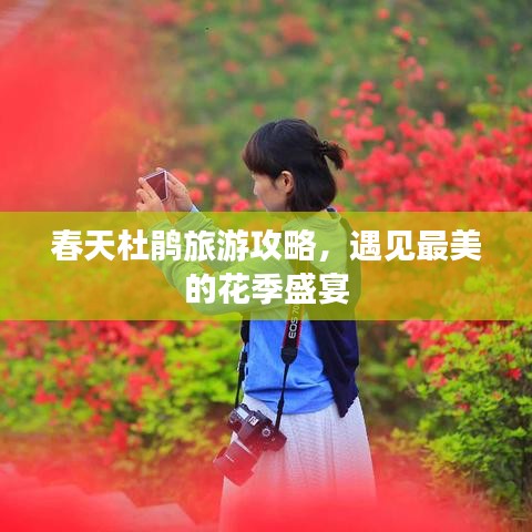 春天杜鹃旅游攻略，遇见最美的花季盛宴