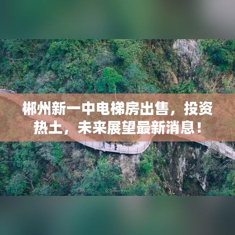 郴州新一中电梯房出售，投资热土，未来展望最新消息！