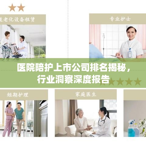 医院陪护上市公司排名揭秘，行业洞察深度报告