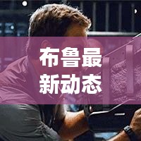 布鲁最新动态速递