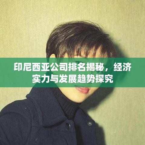 印尼西亚公司排名揭秘，经济实力与发展趋势探究