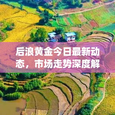 后浪黄金今日最新动态，市场走势深度解析与投资策略展望
