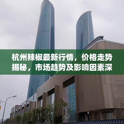 杭州辣椒最新行情，价格走势揭秘，市场趋势及影响因素深度剖析