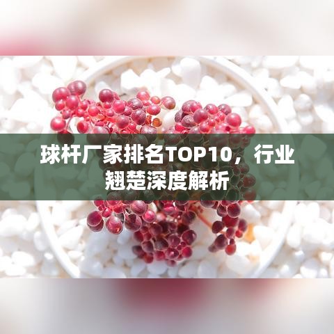球杆厂家排名TOP10，行业翘楚深度解析