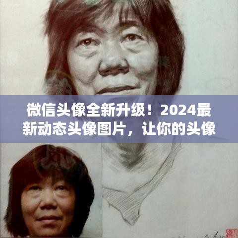 微信头像全新升级！2024最新动态头像图片，让你的头像瞬间生动起来！