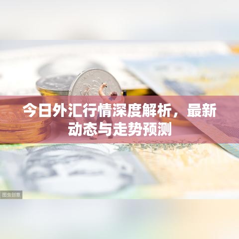 今日外汇行情深度解析，最新动态与走势预测