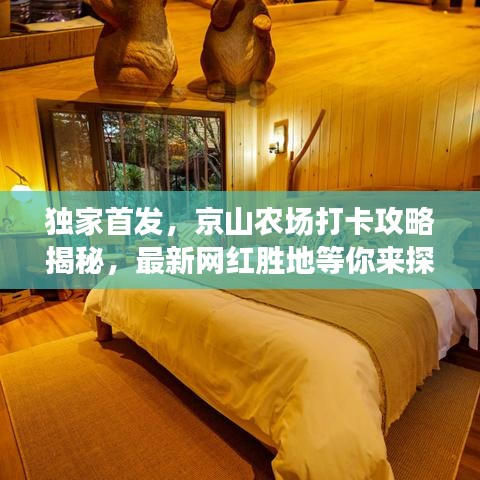 独家首发，京山农场打卡攻略揭秘，最新网红胜地等你来探！