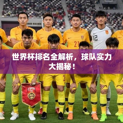 伤弓之鸟