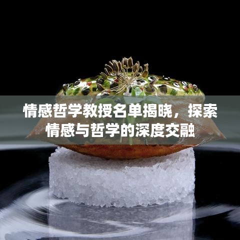情感哲学教授名单揭晓，探索情感与哲学的深度交融