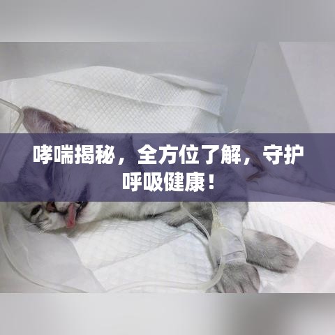 哮喘揭秘，全方位了解，守护呼吸健康！