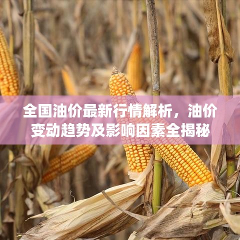 全国油价最新行情解析，油价变动趋势及影响因素全揭秘