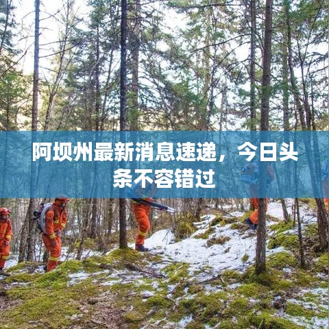 阿坝州最新消息速递，今日头条不容错过