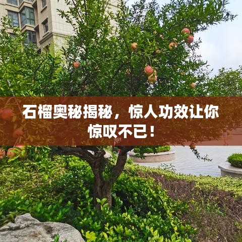 第368页