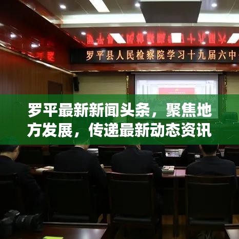 罗平最新新闻头条，聚焦地方发展，传递最新动态资讯