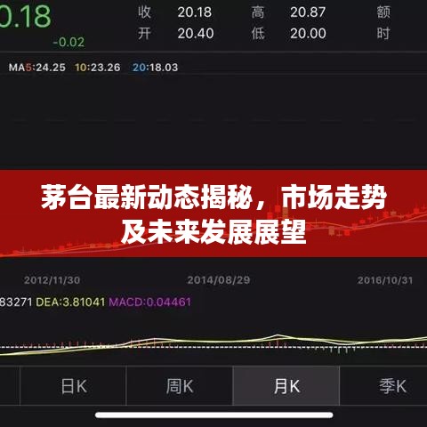 茅台最新动态揭秘，市场走势及未来发展展望