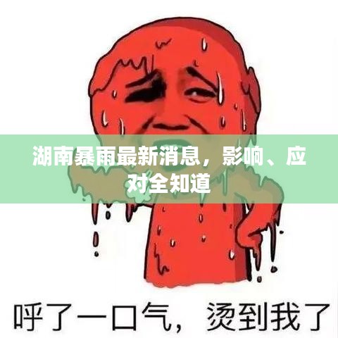 湖南暴雨最新消息，影响、应对全知道