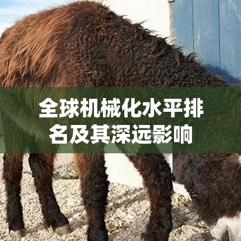 全球机械化水平排名及其深远影响