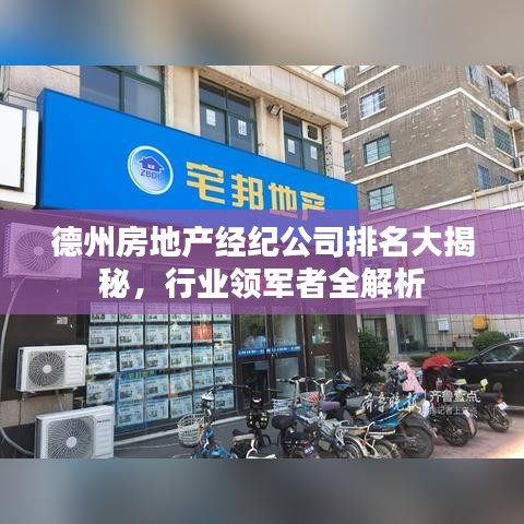 德州房地产经纪公司排名大揭秘，行业领军者全解析