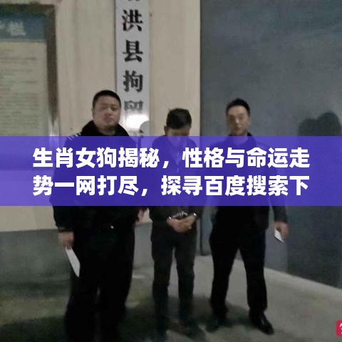 生肖女狗揭秘，性格与命运走势一网打尽，探寻百度搜索下的多元视角