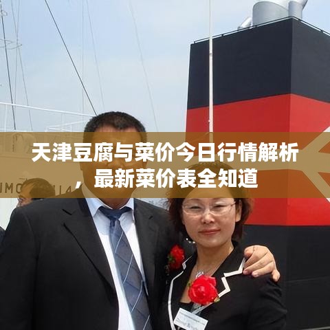 天津豆腐与菜价今日行情解析，最新菜价表全知道