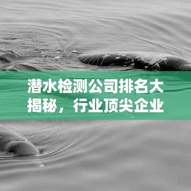 潜水检测公司排名大揭秘，行业顶尖企业实力榜单！