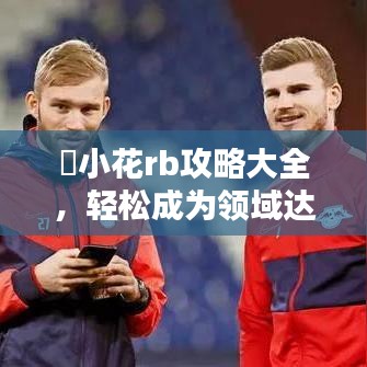 寀小花rb攻略大全，轻松成为领域达人，百度收录标准吸睛标题