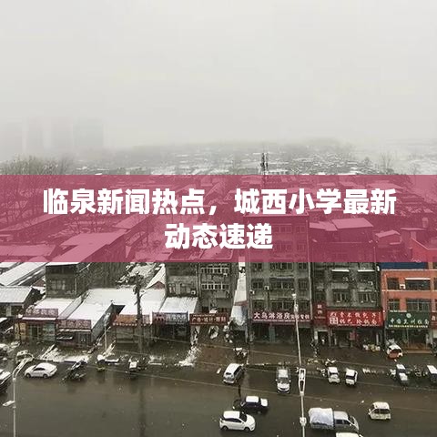 临泉新闻热点，城西小学最新动态速递