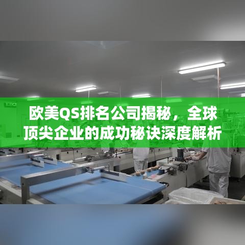 欧美QS排名公司揭秘，全球顶尖企业的成功秘诀深度解析