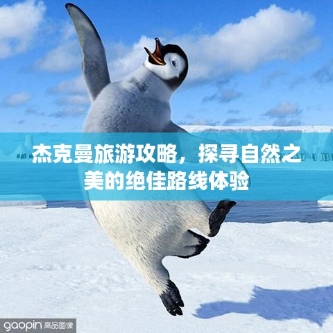 杰克曼旅游攻略，探寻自然之美的绝佳路线体验