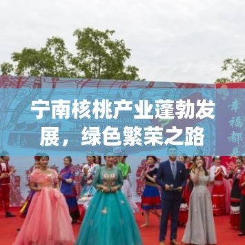 宁南核桃产业蓬勃发展，绿色繁荣之路，引领产业新篇章