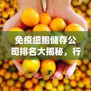免疫细胞储存公司排名大揭秘，行业领军者的权威力量展示