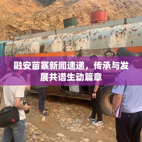 融安苗寨新闻速递，传承与发展共谱生动篇章