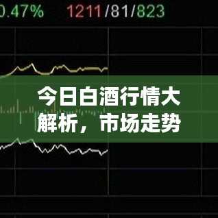 今日白酒行情大解析，市场走势、最新动态与预测