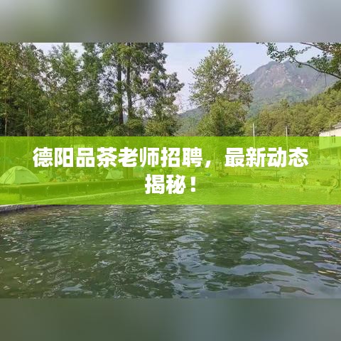 德阳品茶老师招聘，最新动态揭秘！