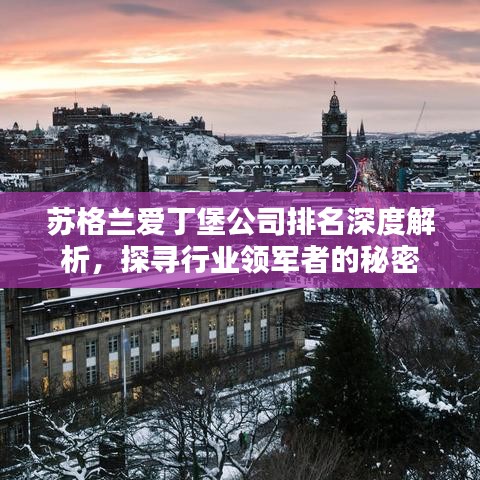 苏格兰爱丁堡公司排名深度解析，探寻行业领军者的秘密