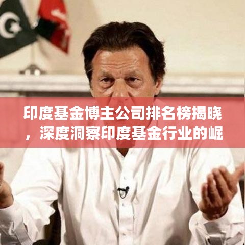 印度基金博主公司排名榜揭晓，深度洞察印度基金行业的崛起与趋势
