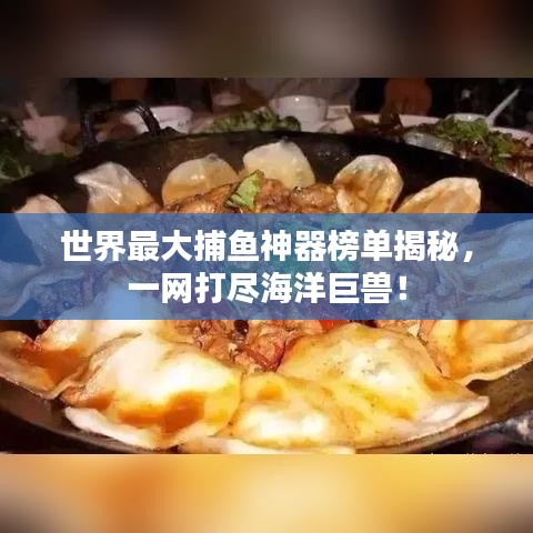 世界最大捕鱼神器榜单揭秘，一网打尽海洋巨兽！