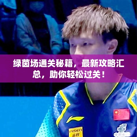 绿茵场通关秘籍，最新攻略汇总，助你轻松过关！