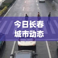 今日长春城市动态概览，最新新闻综述
