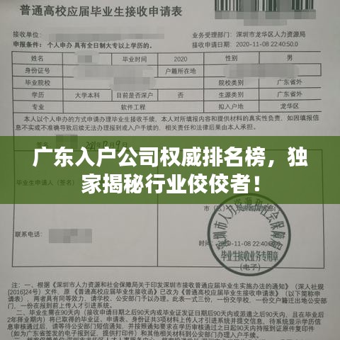 广东入户公司权威排名榜，独家揭秘行业佼佼者！