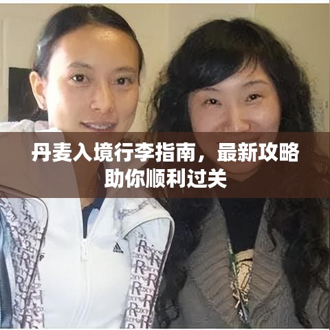 丹麦入境行李指南，最新攻略助你顺利过关